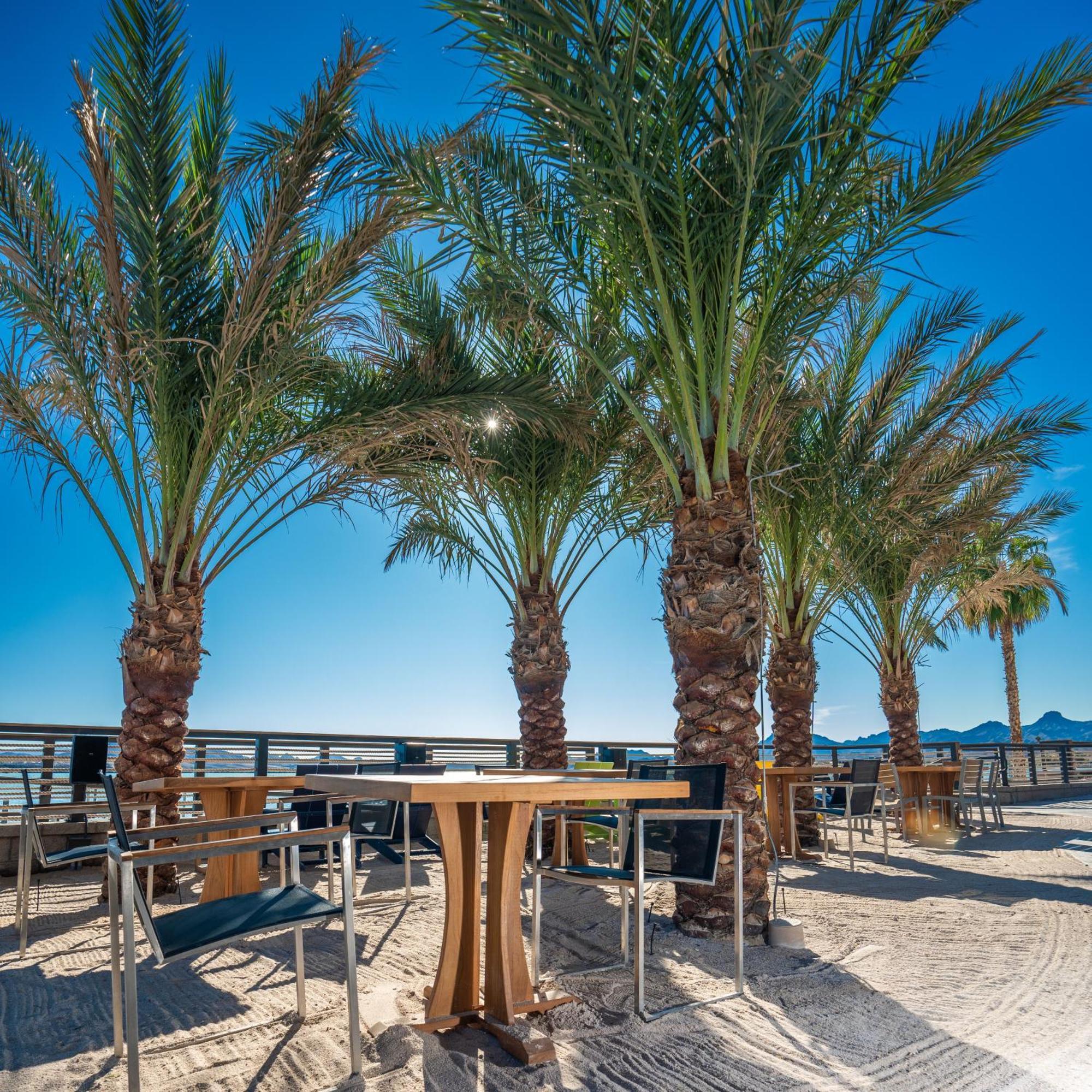 The Nautical Beachfront Resort Lake Havasu City Kültér fotó