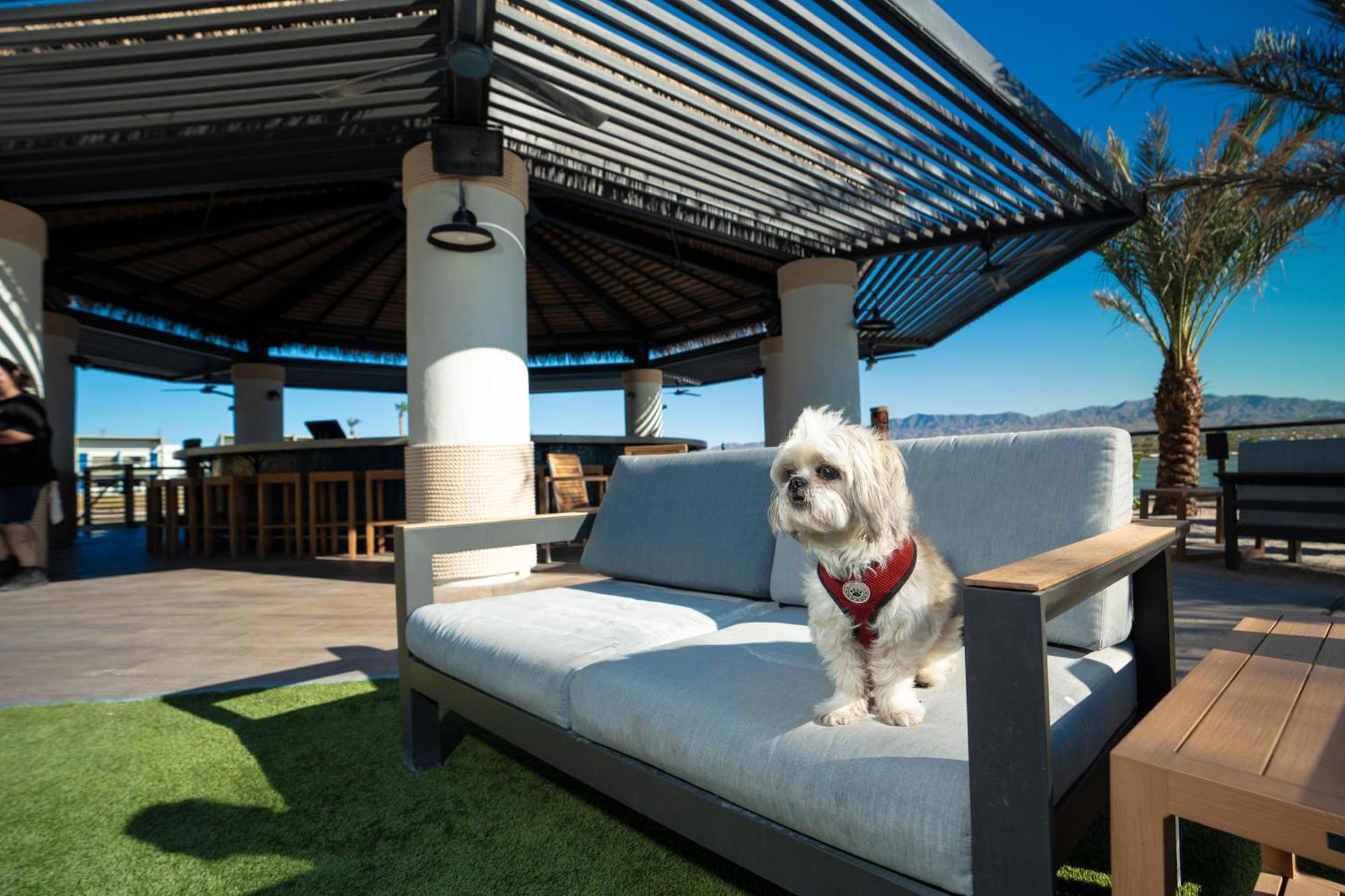 The Nautical Beachfront Resort Lake Havasu City Kültér fotó